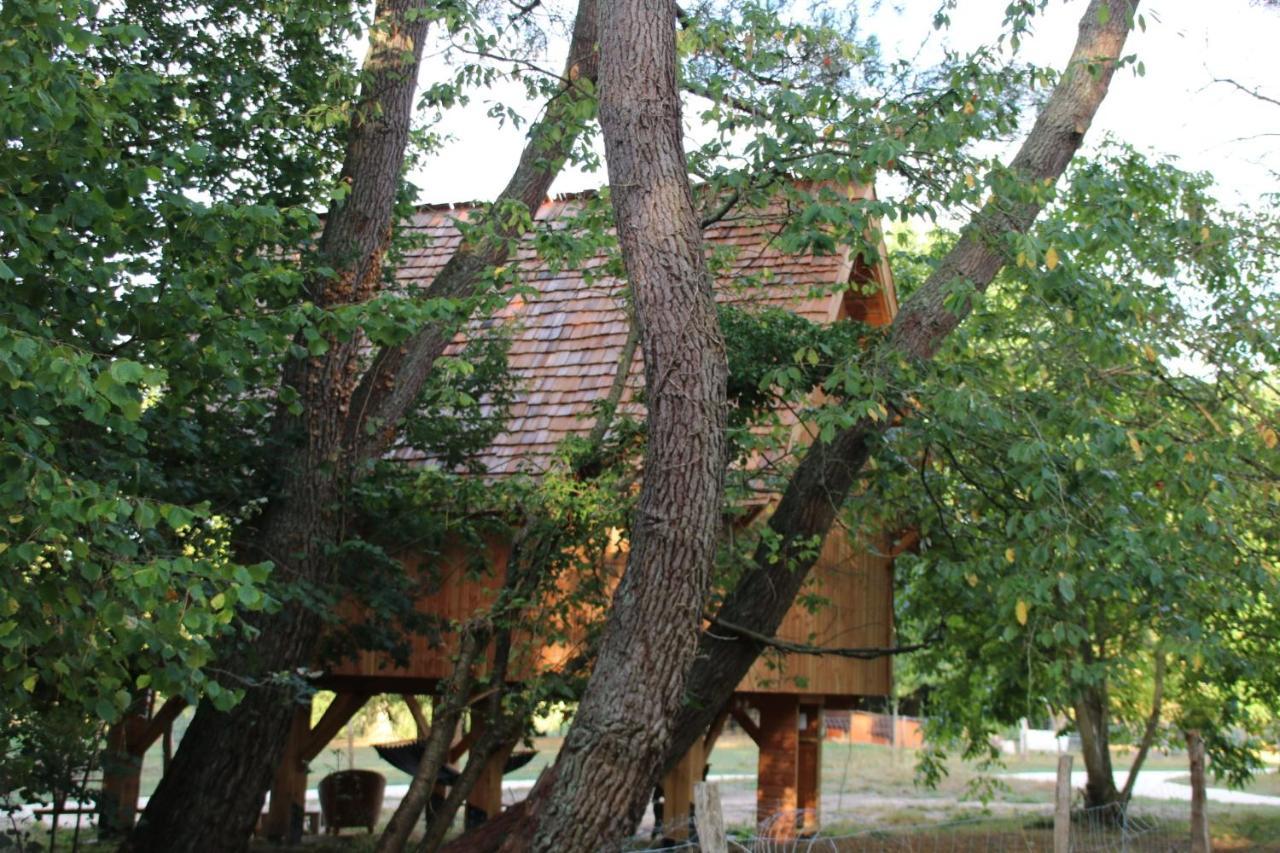 Ecolodge Beauregard Treigny Exterior foto