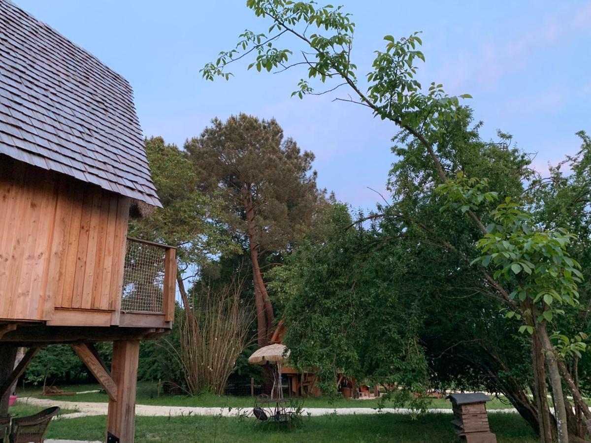 Ecolodge Beauregard Treigny Exterior foto
